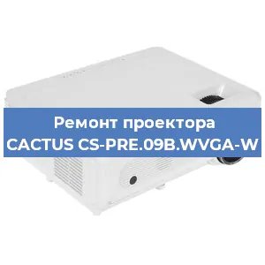 Ремонт проектора CACTUS CS-PRE.09B.WVGA-W в Челябинске
